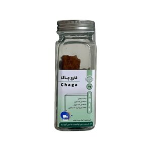 قارچ دارویی چاگا آران