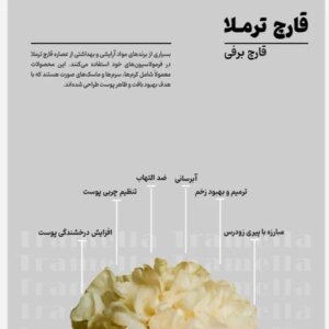 قارچ دارویی ترملا وارداتی خشک