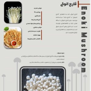 قارچ دارویی انوکی آران