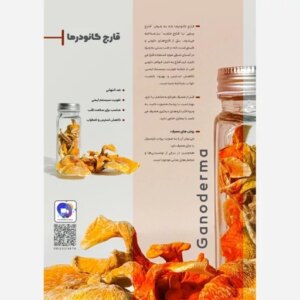 قارچ دارویی گانودرما آران