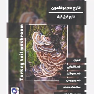 قارچ دارویی دم بوقلمون آران